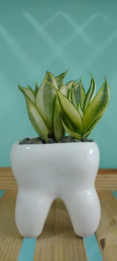 Consultorio Odontologíco Tetelpan