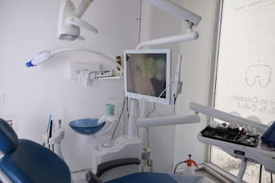 Dental wellness | seguros