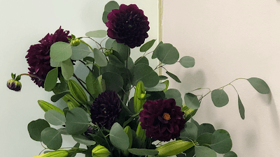 Dentista. Ética Dental