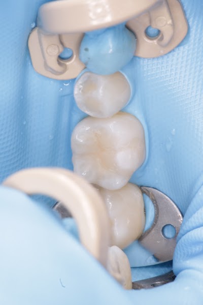 Dentista Dra. Favia Teresa Picos Salazar